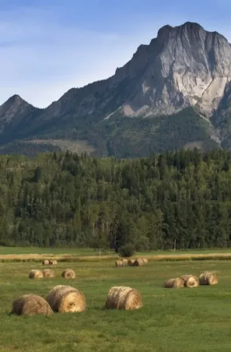 Framed Print : Canada, Alberta