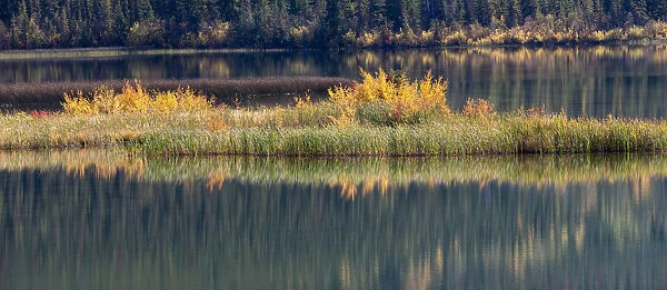 Canada, Alberta. Autumn grass reflections along Talbot Lake, Jasper National Park