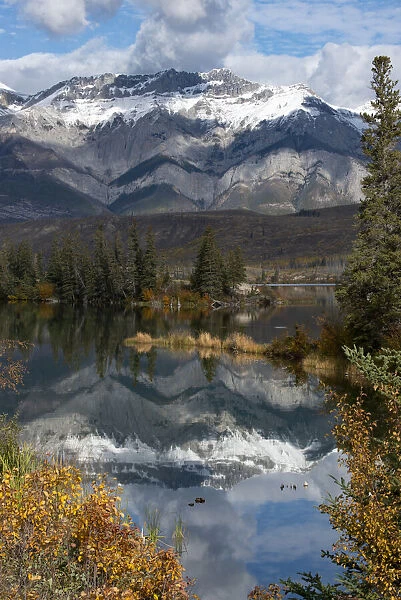 Canada, Alberta. Autumn reflections at Talbot Lake, Jasper National Park