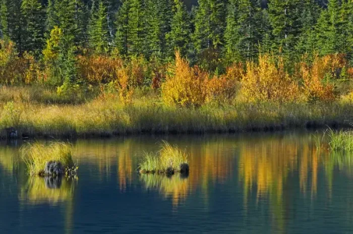 Framed Print : Canada, Alberta, Banff National Park. Autumn reflection in Vermillion Lake. Credit as Framed Print : Canada, Alberta, Banff National Park. Autumn reflection in Vermillion Lake. Credit as