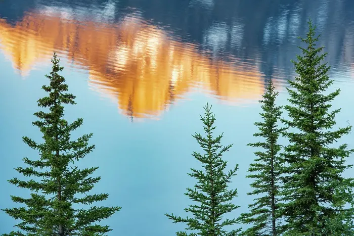Framed Print : Canada, Alberta, Banff National Park. Peaks of Mt. Rundle reflected in Two Jack Lake at sunrise