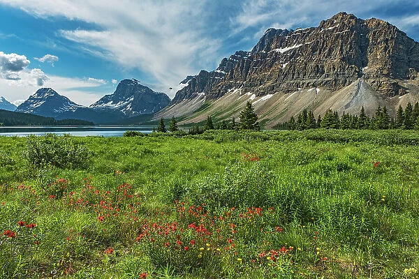 Canada, Alberta, Banff National Park. Landscape with mountains and meadow next to Bow Lake