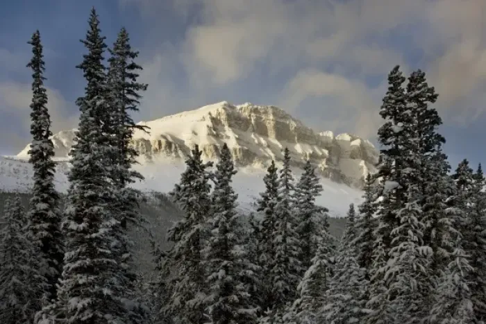 Framed Print : Canada, Alberta, Banff National Park. Sunshine on Bow Peak after a snowstorm Framed Print : Canada, Alberta, Banff National Park. Sunshine on Bow Peak after a snowstorm