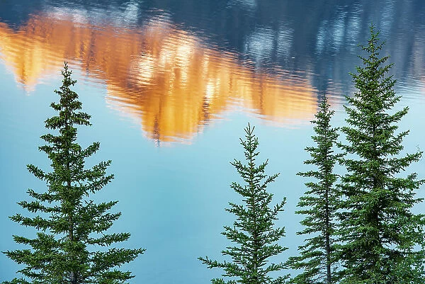 Canada, Alberta, Banff National Park. Peaks of Mt. Rundle reflected in Two Jack Lake at sunrise