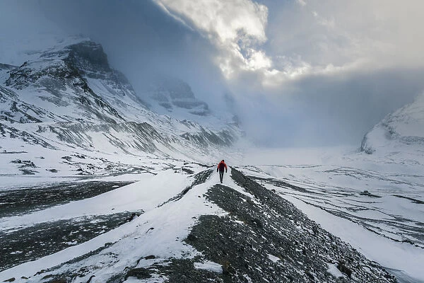 Canada, Alberta, Columbia Icefield. Man takes in winter views of Athabasca glacier. (MR)