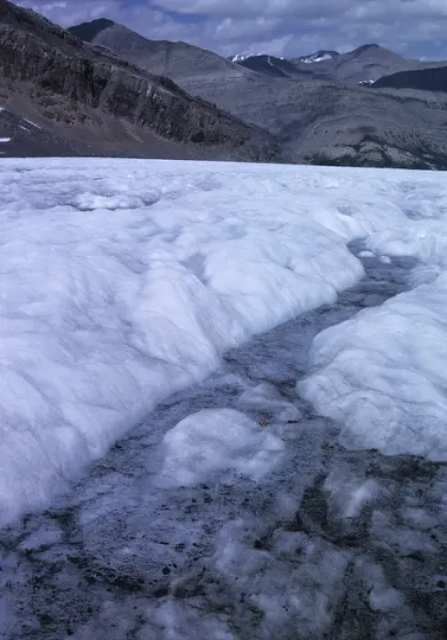 Framed Print : Canada, Alberta, Columbia Icefields. Melting snow forms a stream at the Athabasca Glacier