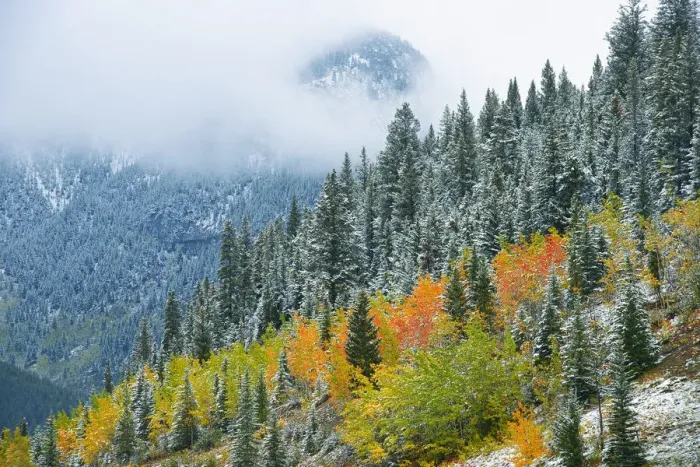 Framed Print : Canada, Alberta. Fog in Canadian Rocky Mountains. Credit as Framed Print : Canada, Alberta. Fog in Canadian Rocky Mountains. Credit as