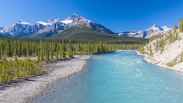 Canada, Alberta. Glacial Silt turns the Athabasca River blue on Icefields Parkway