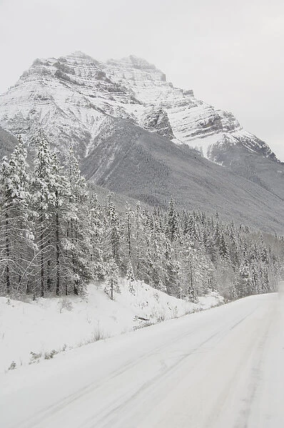 Canada, Alberta, Icefields Parkway. Jasper National Park in winter. Scenic highway