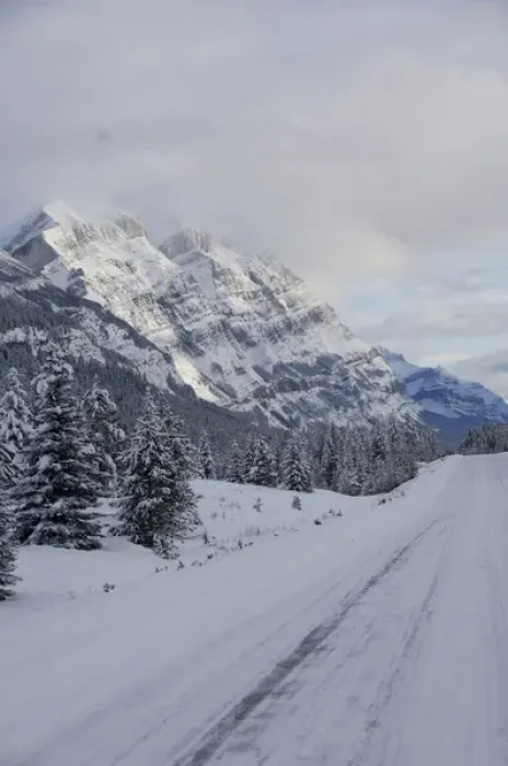 Framed Print : 02. Canada, Alberta, Icefields Parkway. Jasper National Park in winter Framed Print : 02. Canada, Alberta, Icefields Parkway. Jasper National Park in winter