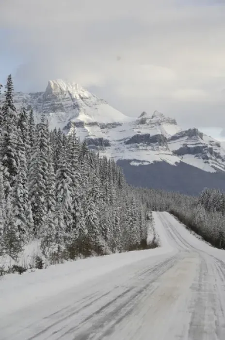 Framed Print : 02. Canada, Alberta, Icefields Parkway. Jasper National Park in winter Framed Print : 02. Canada, Alberta, Icefields Parkway. Jasper National Park in winter