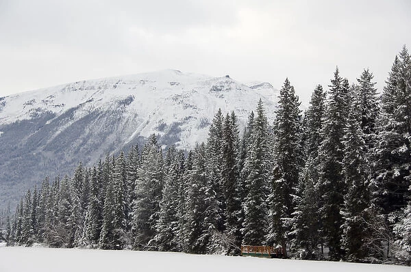Canada, Alberta, Jasper, Jasper NP. Fairmont Jasper Park Lodge. View of frozen lodge lake