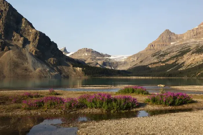 Framed Print : Canada, Alberta, Jasper National Park, Bow Lake with Bow Glacier and Bow Glacier Falls