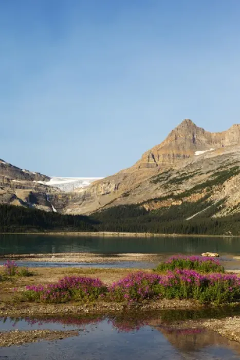 Framed Print : Canada, Alberta, Jasper National Park, Bow Lake with Bow Glacier and Bow Glacier Falls Framed Print : Canada, Alberta, Jasper National Park, Bow Lake with Bow Glacier and Bow Glacier Falls
