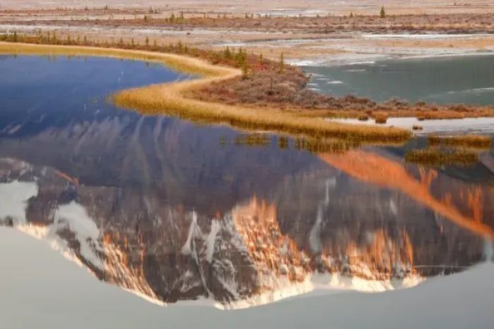 Framed Print : Canada, Alberta, Jasper National Park. Mount Kitchener reflected in Sunwapta River