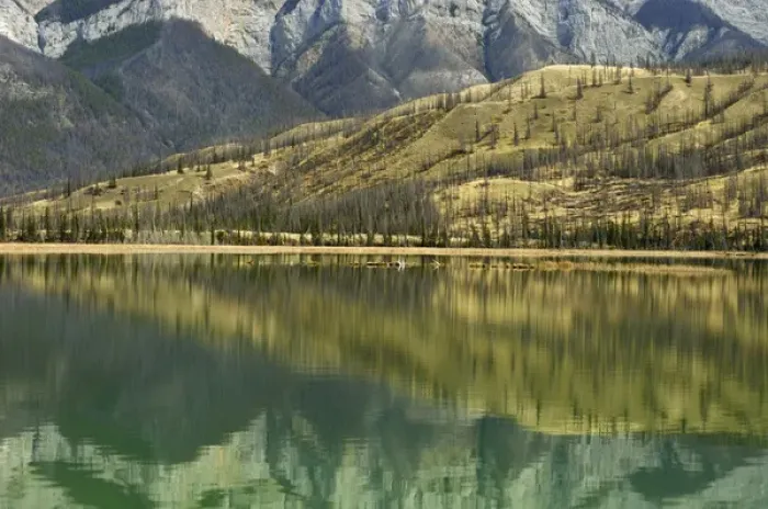 Framed Print : Canada, Alberta, Jasper National Park. Reflection on Talbot Lake Framed Print : Canada, Alberta, Jasper National Park. Reflection on Talbot Lake