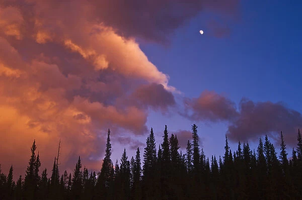 Canada, Alberta, Jasper National Park. Clouds over forest at sunset