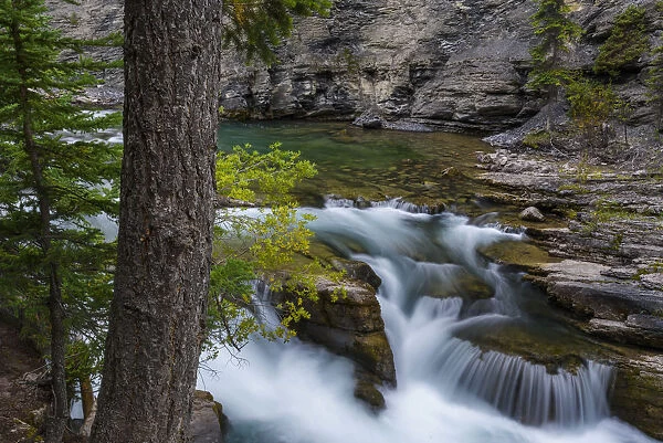 Canada, Alberta, Jasper National Park. Maligne Canyon waterfall