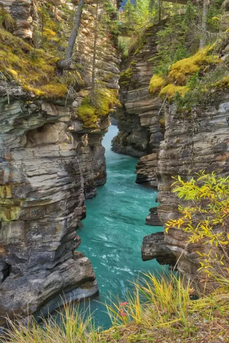 Framed Print : Canada, Alberta, Jasper National Park. Athabasca River at Athabasca Falls Framed Print : Canada, Alberta, Jasper National Park. Athabasca River at Athabasca Falls