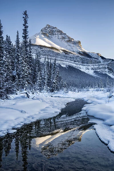 Canada, Alberta, Jasper National Park, Tangle Peak reflected in Beauty Creek