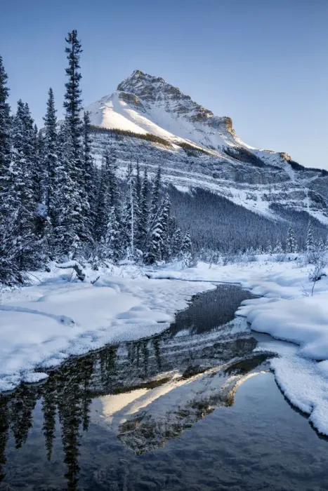 Framed Print : Canada, Alberta, Jasper National Park, Tangle Peak reflected in Beauty Creek Framed Print : Canada, Alberta, Jasper National Park, Tangle Peak reflected in Beauty Creek