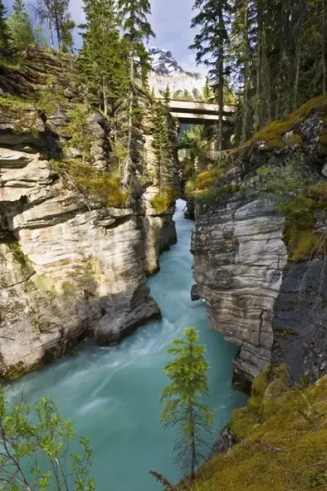Framed Print : Canada, Alberta, Jasper National Park, Athabasca Falls