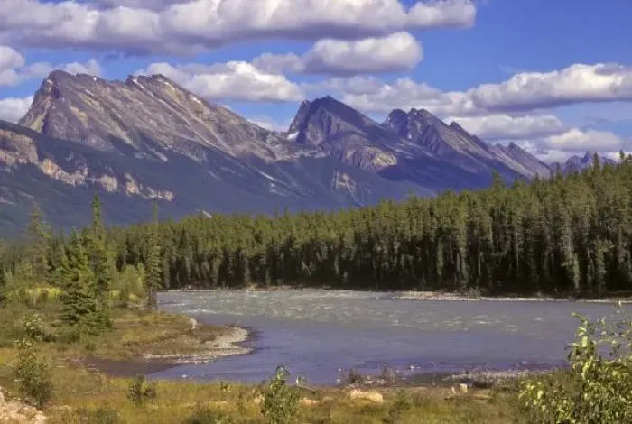 Framed Print : Canada, Alberta, Jasper National Park. Large uplifted rocky mountains and forest