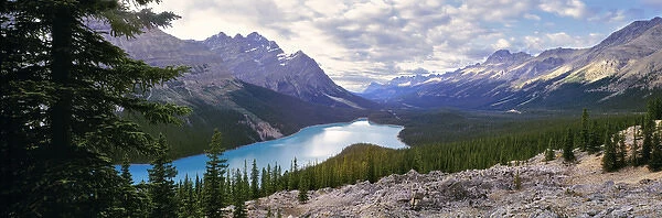 Canada, Alberta, Peyto Lake. Peyto Lake stretches cool blue through Banff NP, a World Heritage Site