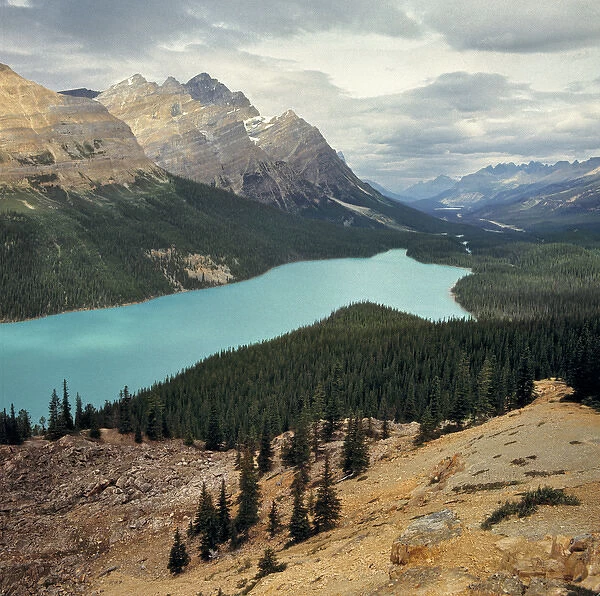 Canada, Alberta, Peyto Lake. Striated mountains form a background for Peyto Lake