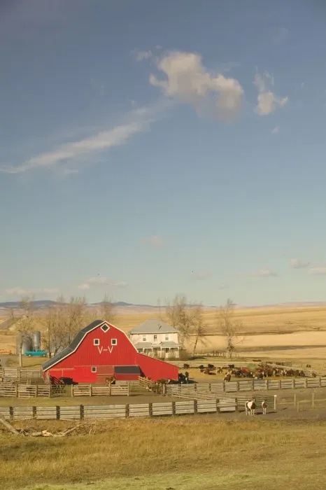 Framed Print : Canada, Alberta, Pincher Creek: Red Barn & Ranch