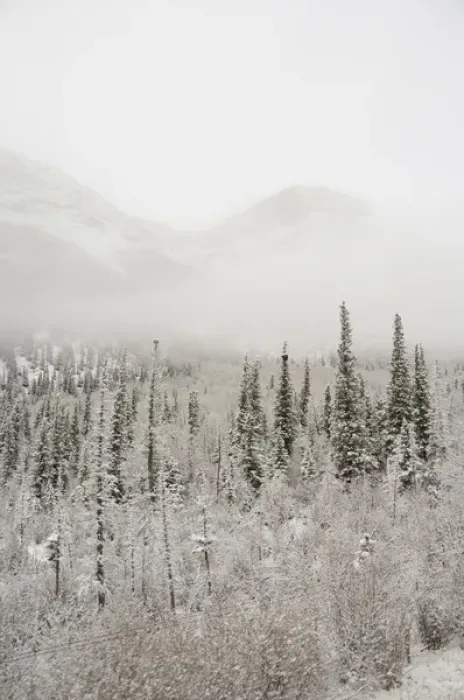 Framed Print : Canada, Alberta. VIA Rail Snow Train between Edmonton & Jasper. Winter views