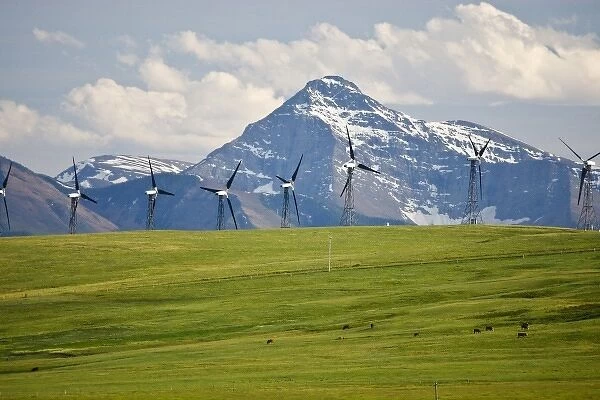 Canada, Alberta, Rocky Mountains south of PIncher Creek, wind turbines and wind farm