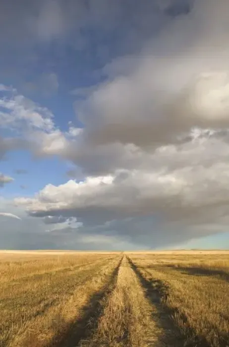 Framed Print : Canada, Alberta, Stand Off: Landscape with Dramatic Sky Wheat Field Road