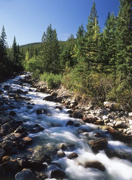 Canada, Alberta, View of mountain stream in Jasper National Park