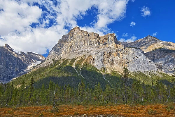 Canada, Alberta, Yoho National Park. The President Range mountain landscape