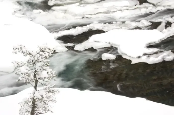 Framed Print : Canada, Banff, Bow River Falls Park, Snowy detail on Spray River
