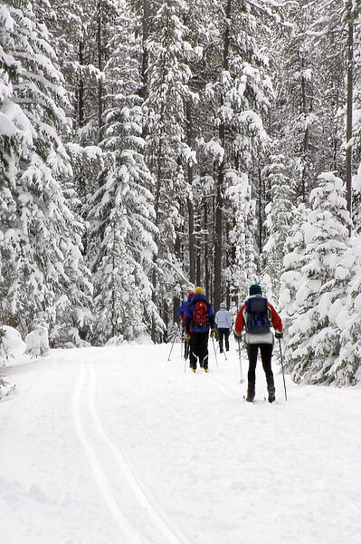 Canada, Banff, Cross country skiing on Spray River Trail