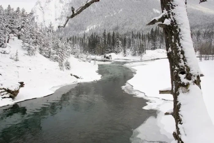 Framed Print : Canada, Banff, Snowy Bow River Framed Print : Canada, Banff, Snowy Bow River
