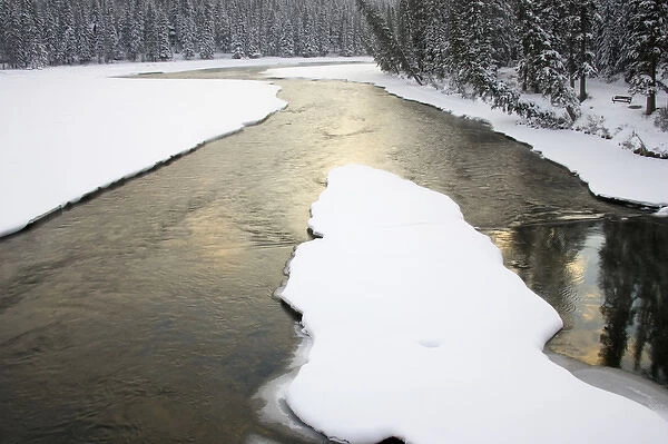 Canada, Banff, Spray River fork in snowy conditions