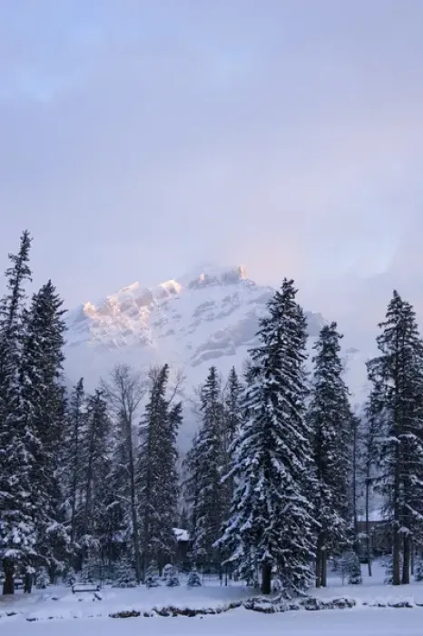 Framed Print : Canada, Banff, View of Mt. Norquay in Winter Framed Print : Canada, Banff, View of Mt. Norquay in Winter