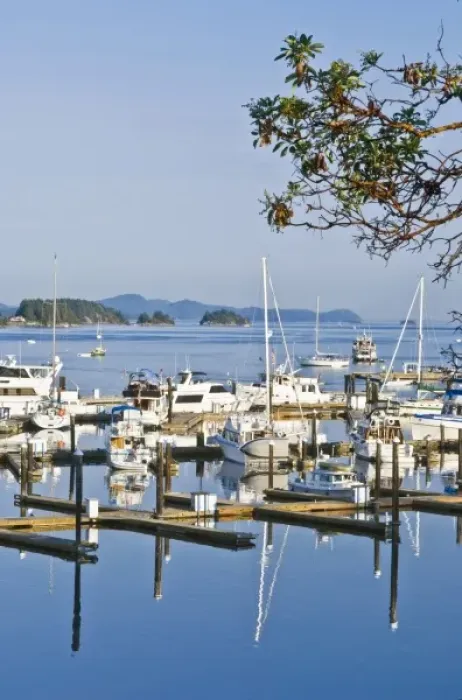 Framed Print : Canada, BC, Gulf Islands, Salt Sporing Island, Ganges Harbor Framed Print : Canada, BC, Gulf Islands, Salt Sporing Island, Ganges Harbor