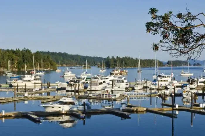 Framed Print : Canada, BC, Gulf Islands, Salt Spring Island, Ganges Harbor Framed Print : Canada, BC, Gulf Islands, Salt Spring Island, Ganges Harbor