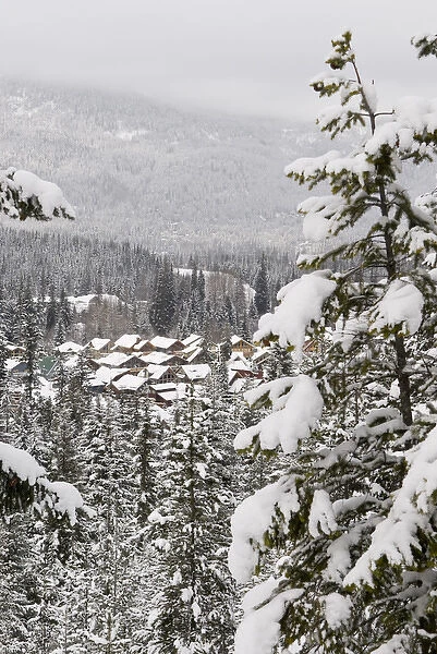 Canada, BC, Whistler. Whistler  /  Blackcomb resort housing seen from Lost Lake Trail system for hiking