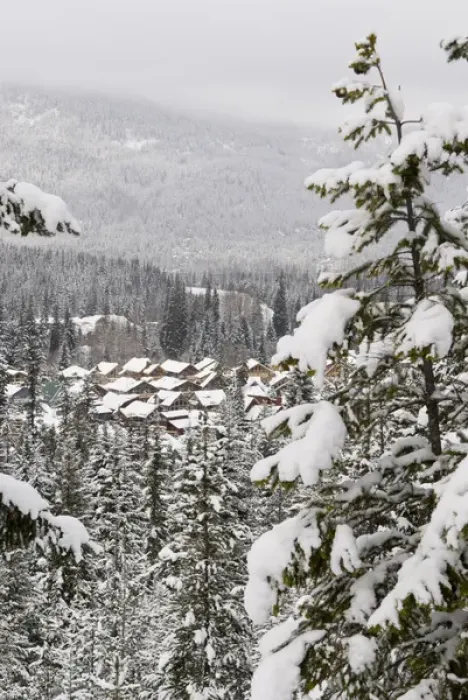 Framed Print : Canada, BC, Whistler. Whistler / Blackcomb resort housing seen from Lost Lake Trail system for hiking Framed Print : Canada, BC, Whistler. Whistler / Blackcomb resort housing seen from Lost Lake Trail system for hiking