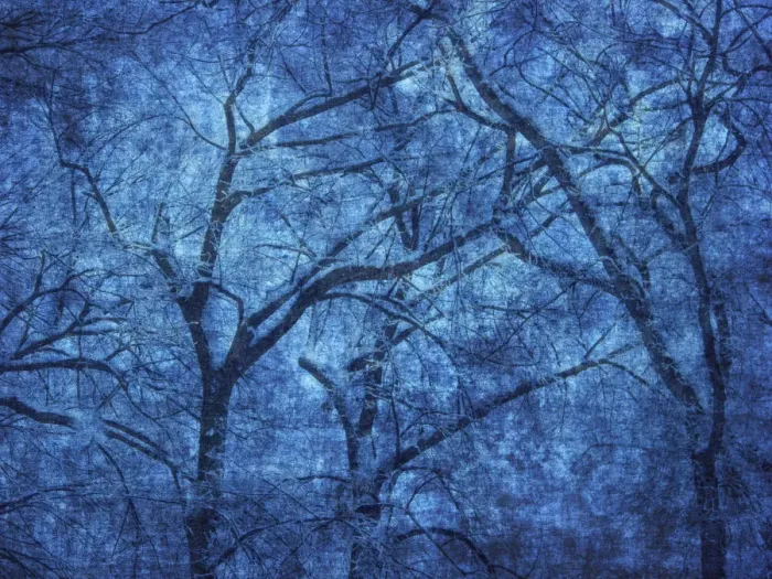 Framed Print : Canada. Blue abstract of trees. Credit as: Mike Grandmaison / Jaynes Gallery / DanitaDelimont Framed Print : Canada. Blue abstract of trees. Credit as: Mike Grandmaison / Jaynes Gallery / DanitaDelimont