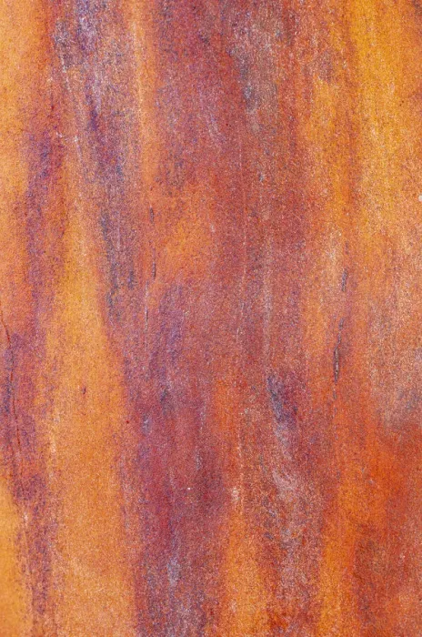 Framed Print : Canada, British Columbia. Bark detail of madrone tree smooth bark