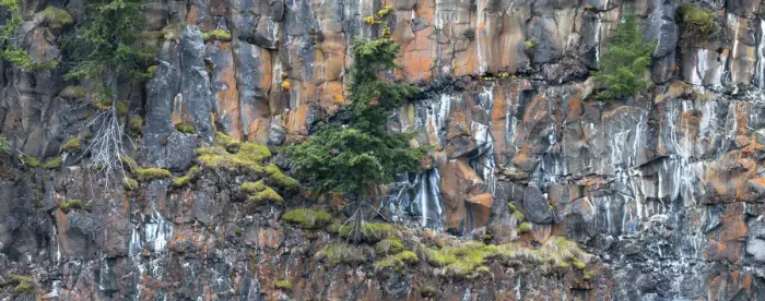 Framed Print : Canada, British Columbia. Basalt cliff with vegetation at Helmcken Falls