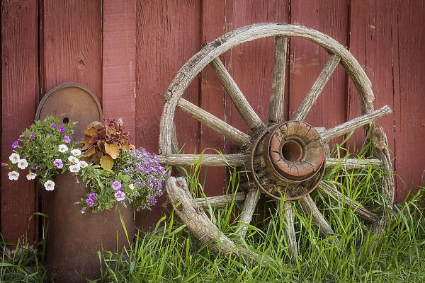 Canada, British Columbia, Cache Creek, Hat Creek Ranch. Vintage wagon wheel and flowers