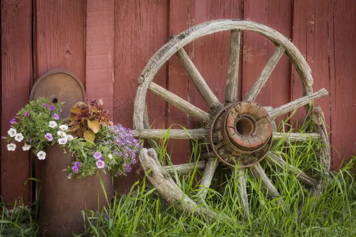 Framed Print : Canada, British Columbia, Cache Creek, Hat Creek Ranch. Vintage wagon wheel and flowers