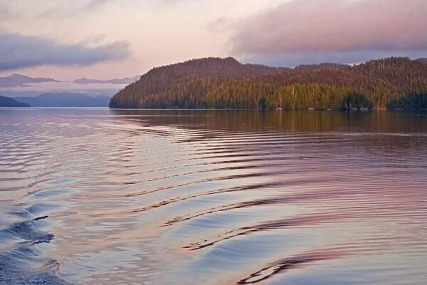 Canada, British Columbia, Calvert Island. Boat wake in water at sunset